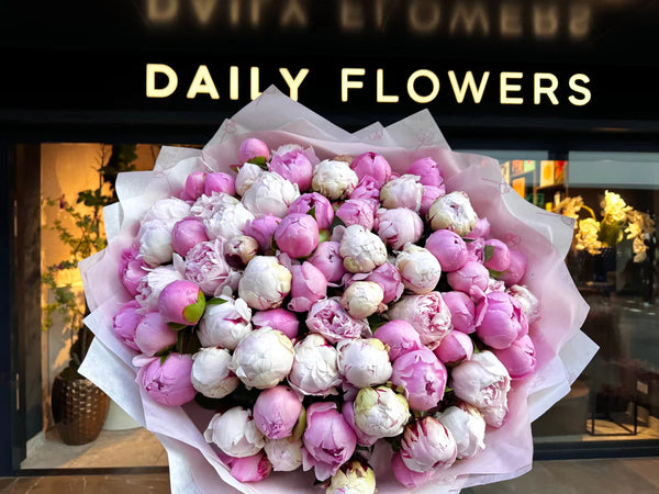 Big pink peony melange