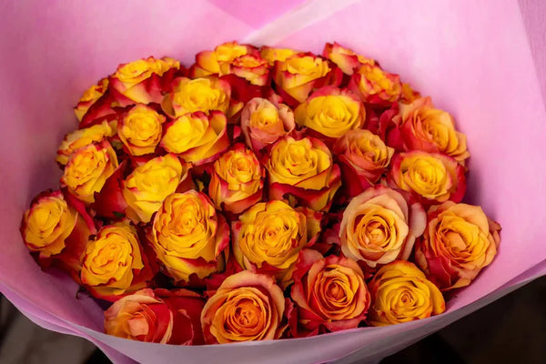 Roses Silantoi - Choose your amount
