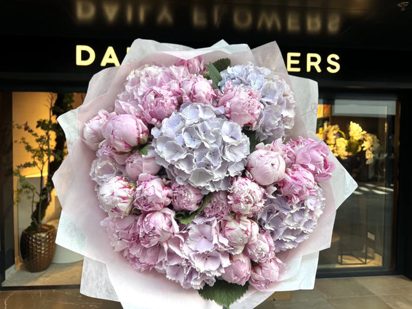 Peony fairytale dream