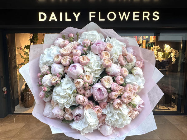 Royal peony blush